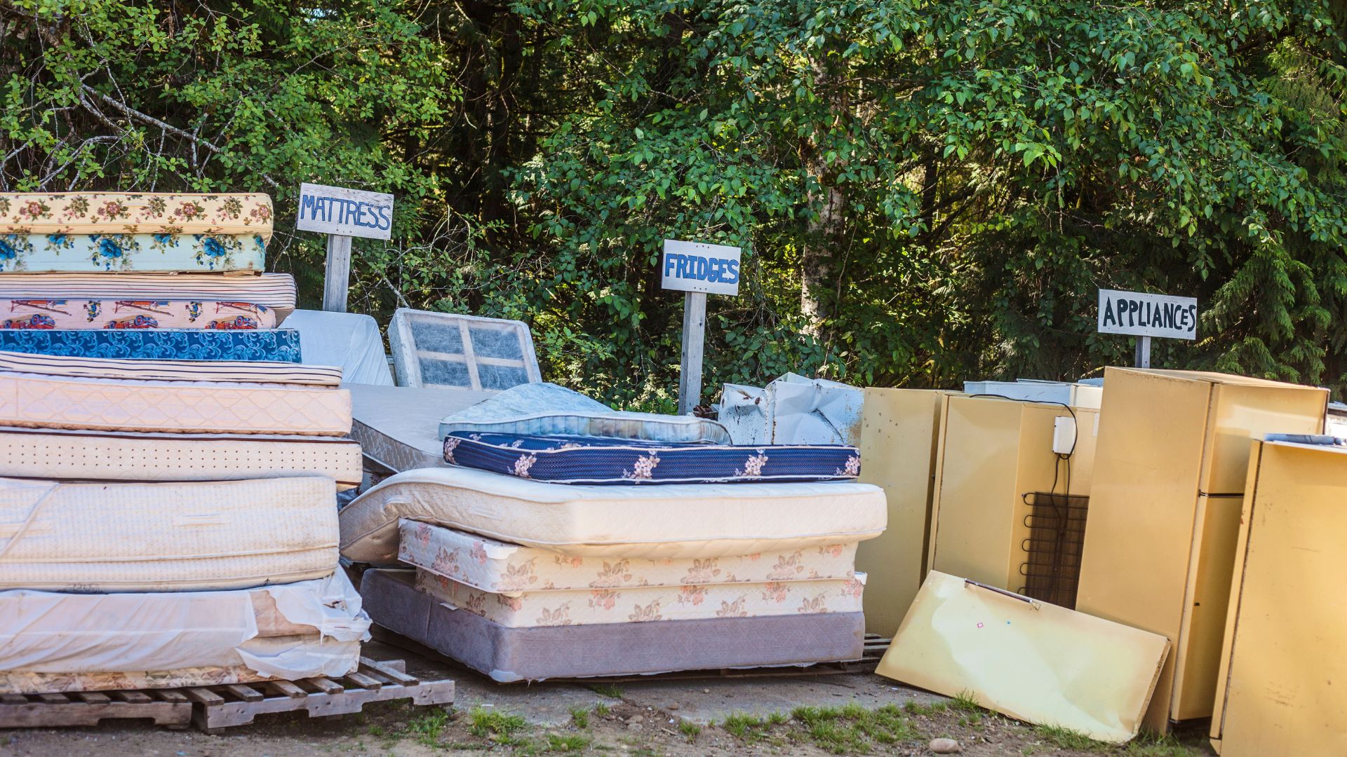 Professional Mattress Removal vs DIY Disposal - Clean Slate Junk