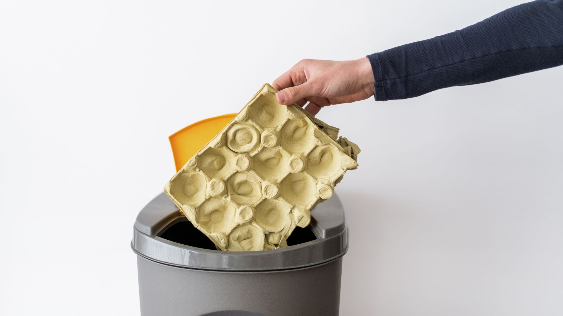 Efficient and Eco-Friendly Ways to Remove Junk from Your Property ...